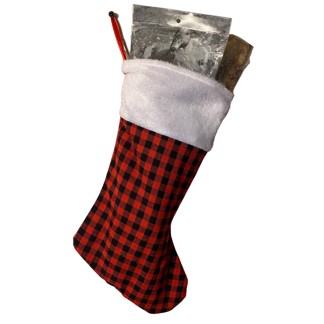 The Bone Lovers Stocking