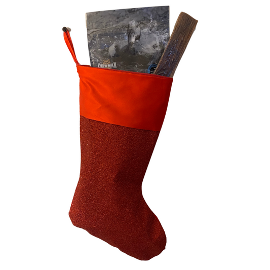 The Best Doggo Stocking