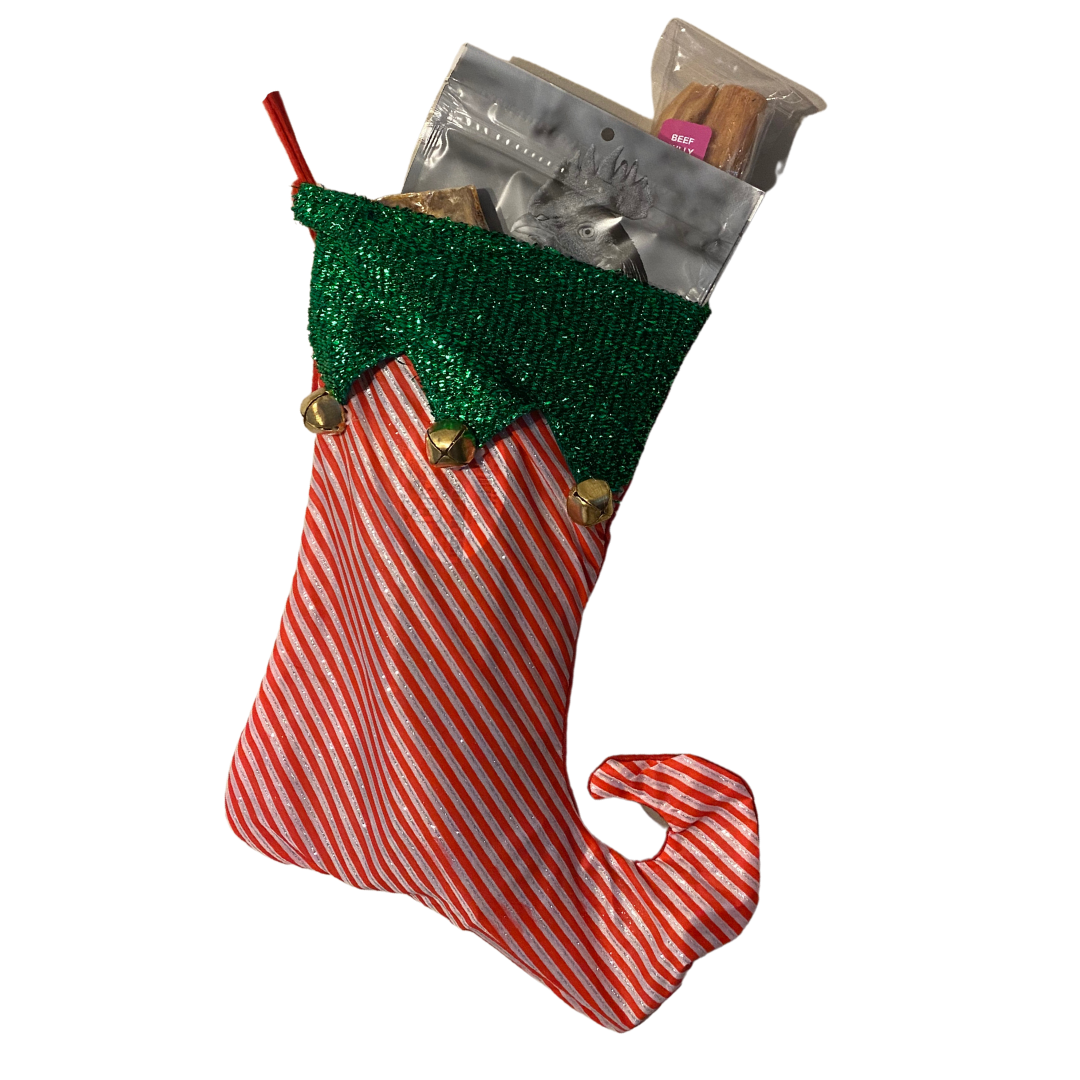 The Spoiled Pup Stocking