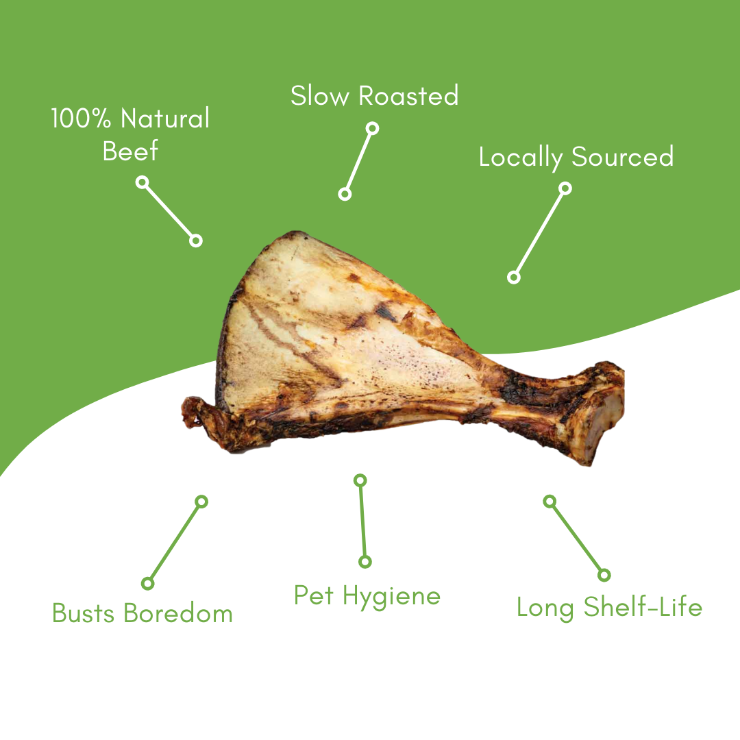 Blade Beef Bone
