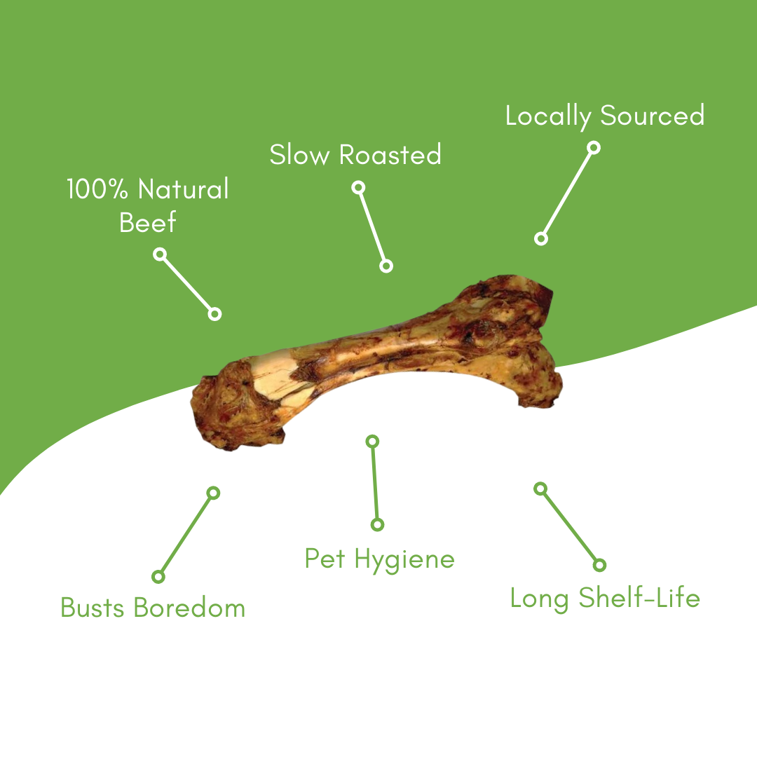 Dino Beef Bone