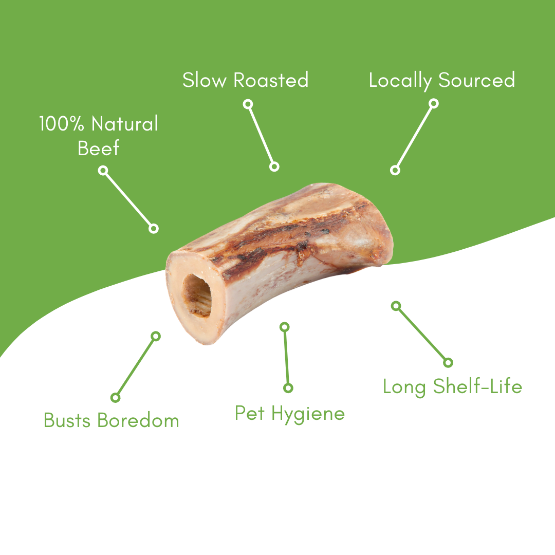 2"-3" Beef Center Cut Bones