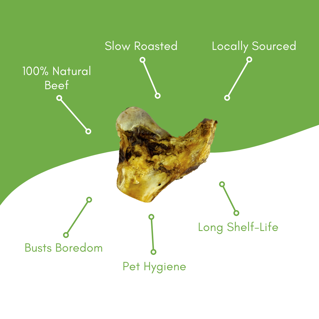 Saddle Knuckle Beef Bone
