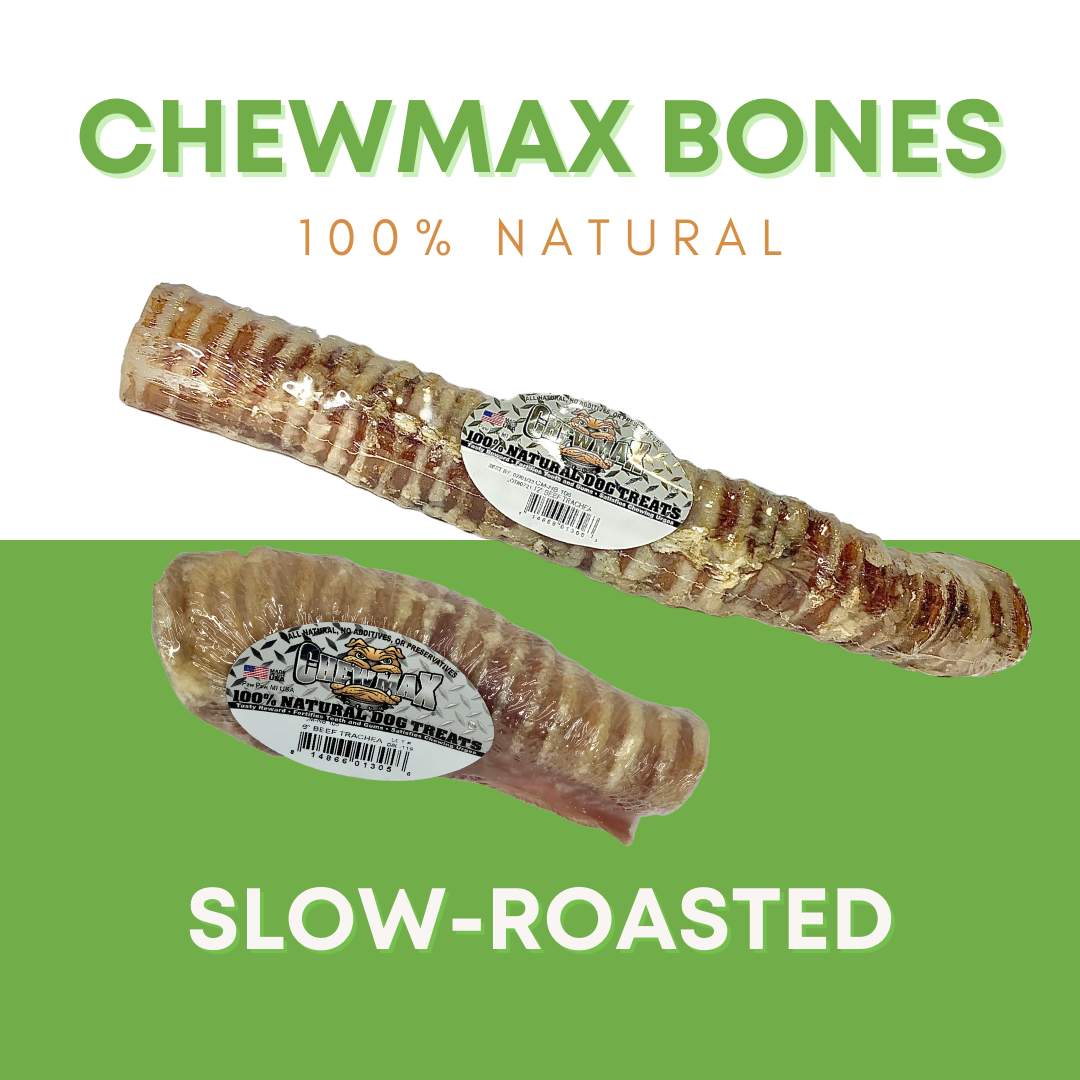5 Count 5"-6" Beef Trachea Dog Chews