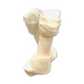 14"-15" Bacon Flavored Knotted Bone