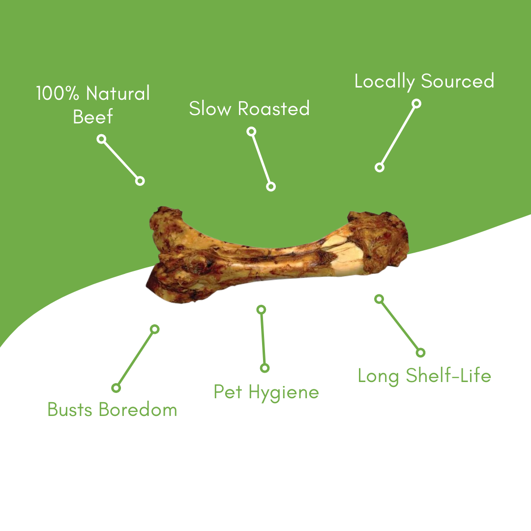 Femur Beef Bone