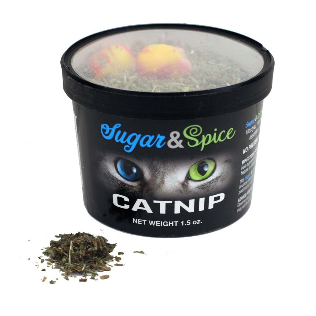1.5 oz Catnip Container